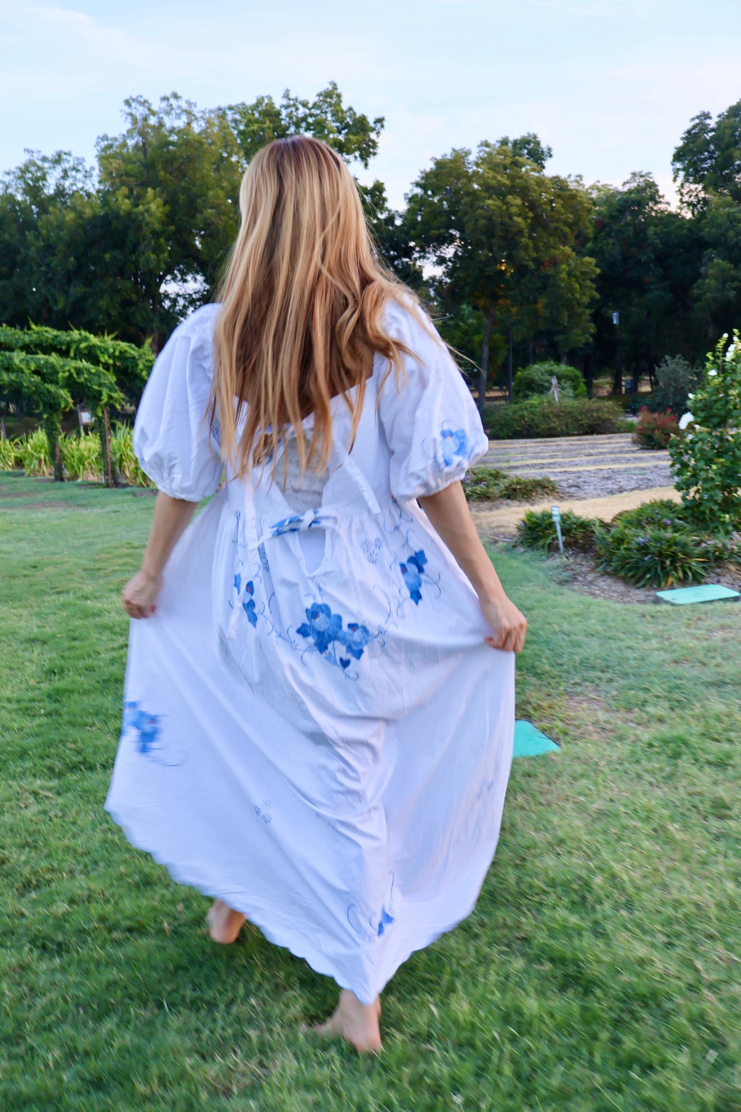 The Célestia Blue Rose Dess