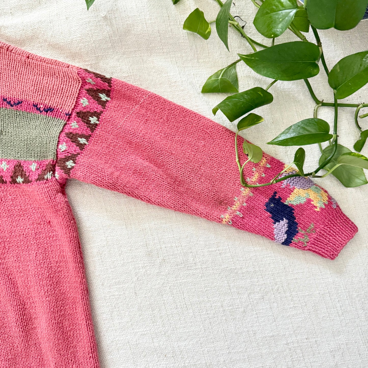 Rare Vintage Hand-Knit Animal Intarsia Sweater M | Pink Embroidered Folk Art Pullover