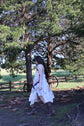 The Primrose Dress